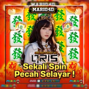 MARIO4D NEW NEW 2